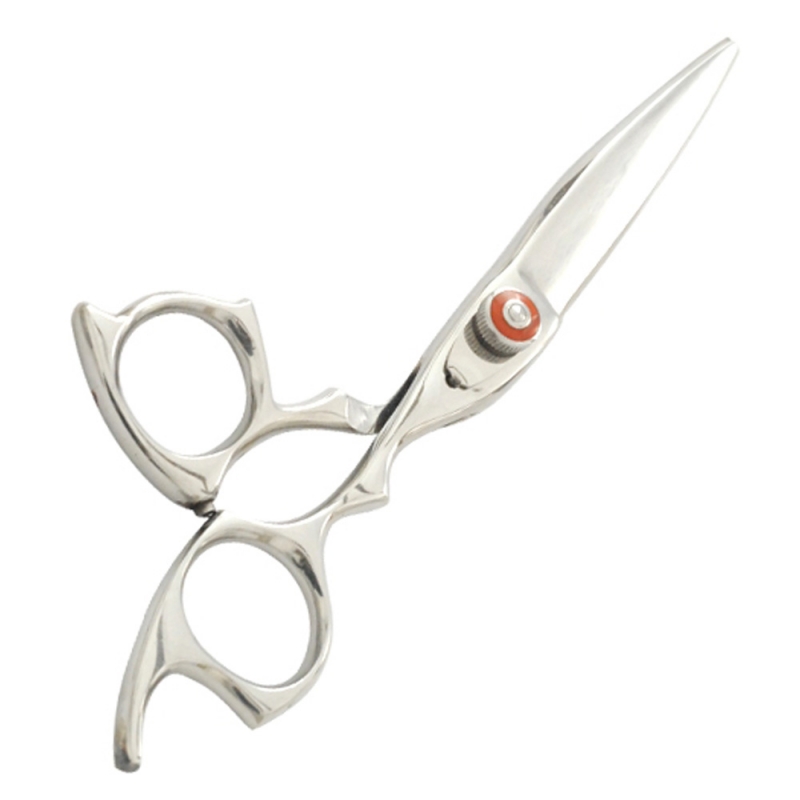 Professional Hair Cutting Scissors